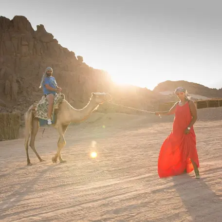 Desert Experience Family Buggy 1000cc