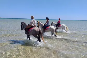 horse riding on beach